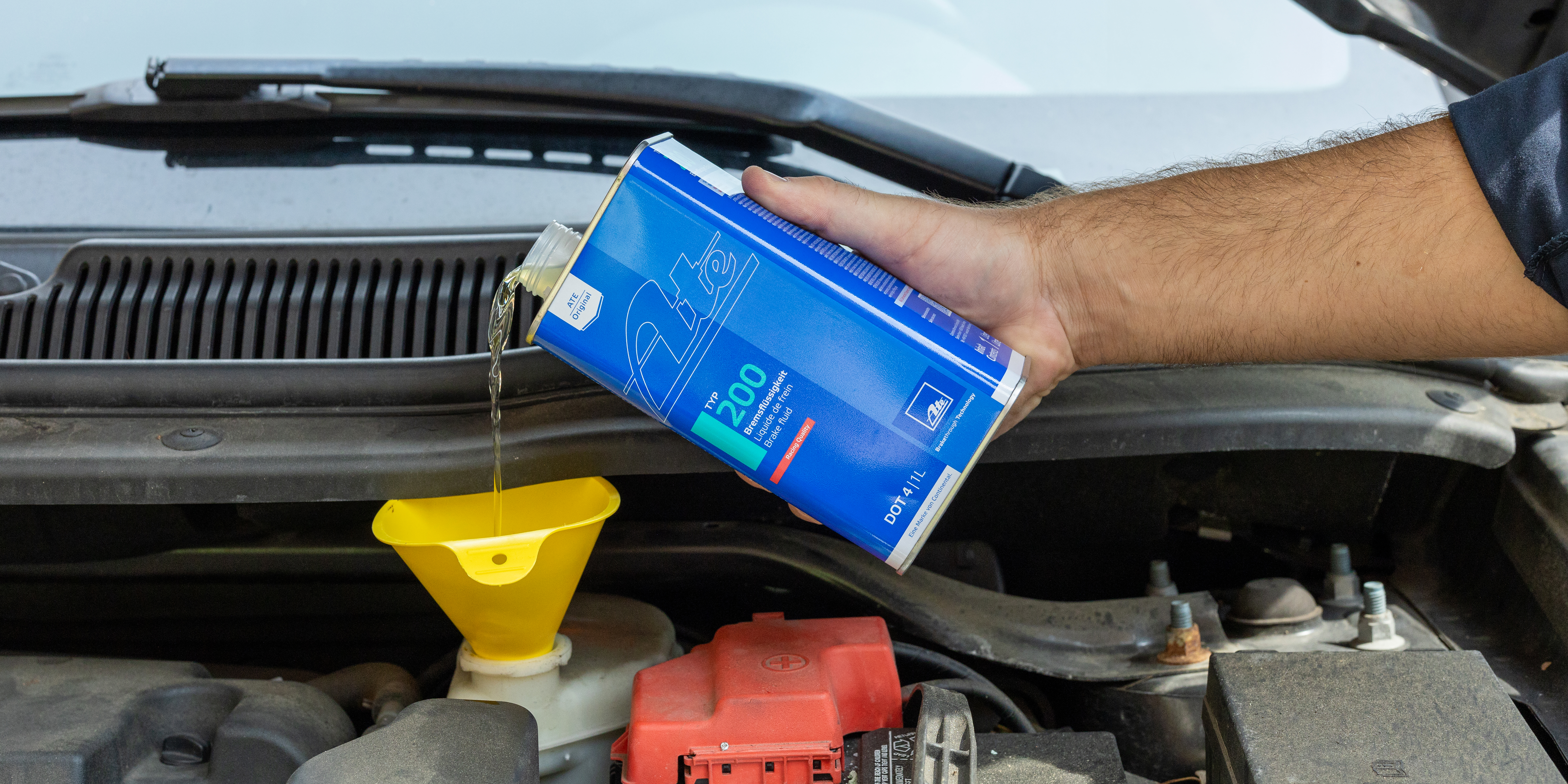 5L5A0153 Edited Extended CRPD (2)